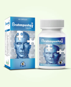 Herbal Brain Enhancement Pills