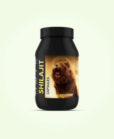 Shilajit Capsules for Energy