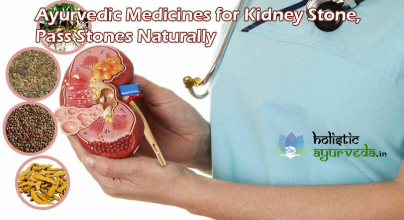 Ayurvedic Medicines for Kidney Stone