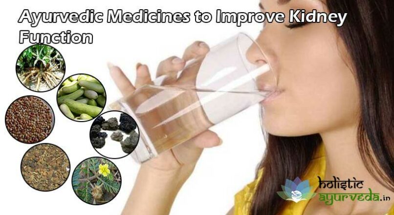 Ayurvedic Medicines to Improve Kidney Function