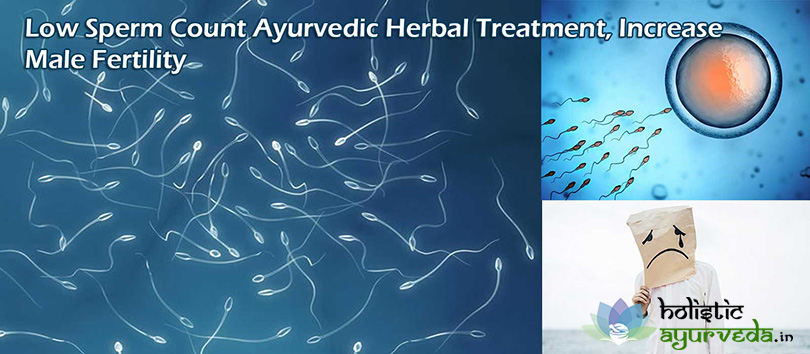 Low Sperm Count Ayurvedic Herbal Treatment