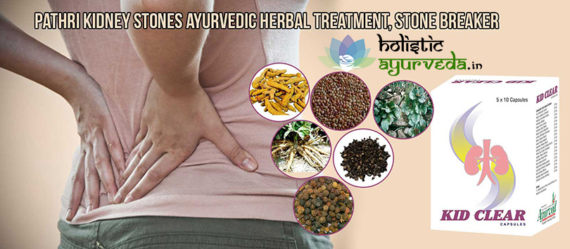 Ayurvedic Herbal Kidney Stone Breaker Pills