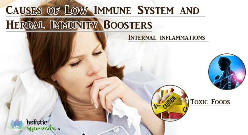 Causes of Low Immune System and Herbal Immunity Boosters