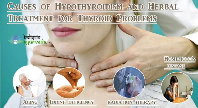 Causes of Hypothyroidism and Herbal Treatment for Thyroid Problems