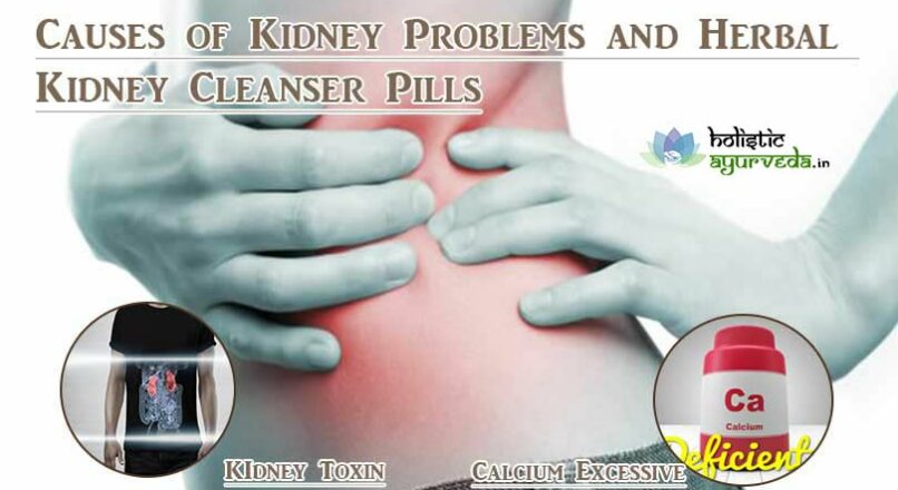 Causes of Kidney Problems and Herbal Kidney Cleanser Pills