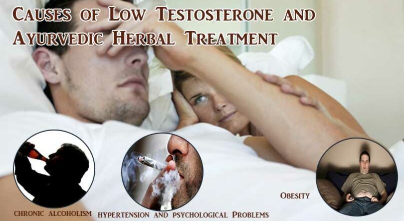 Causes of Low Testosterone and Ayurvedic Herbal Treatment