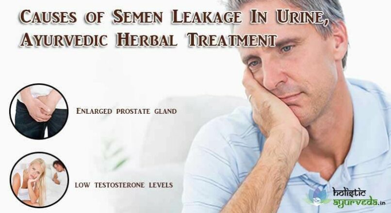 Causes Of Semen Leakage In Urine, Ayurvedic Herbal Treatment