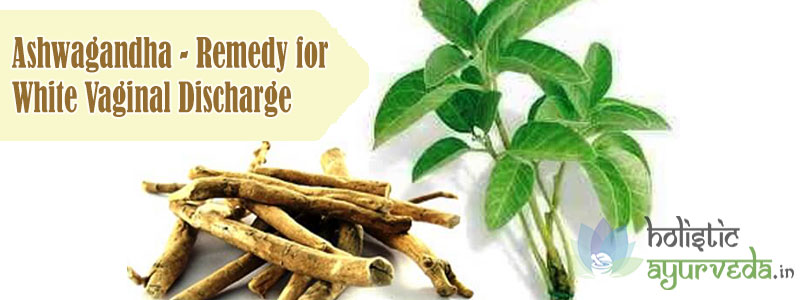 Ashwagandha Remedy for White Vaginal Discharge