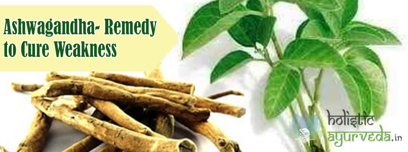 Ashwagandha Remedy to Cure Weakness