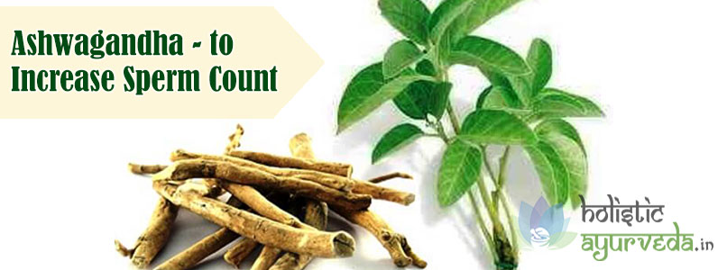 Ashwagandha to Increase Sperm Count