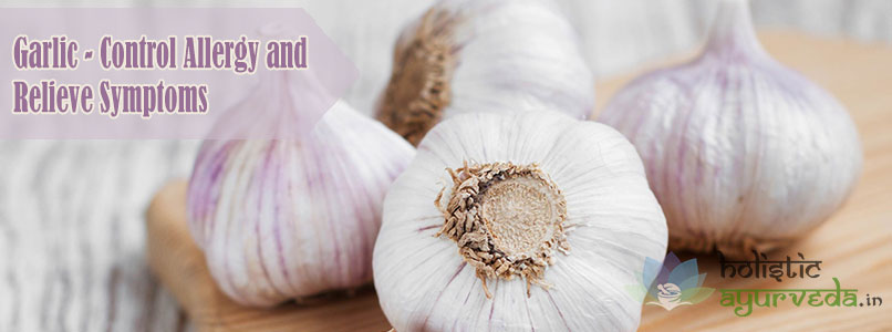 Garlic Control Allergy and Relieve Symptoms