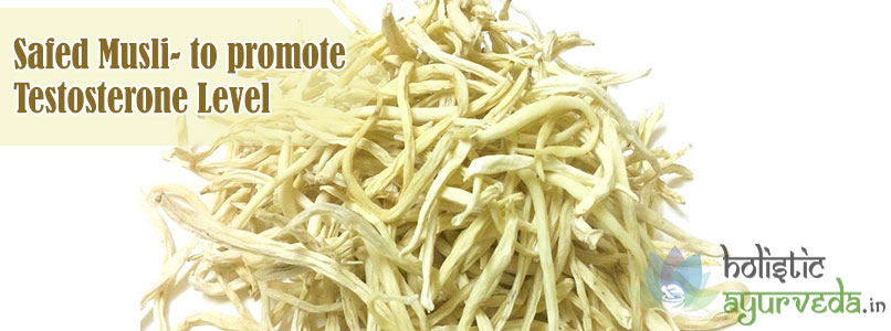 Safed Musli to Promote Testosterone