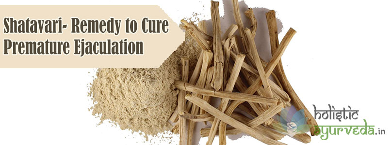 Shatavari Remedy to Cure Premature Ejaculation