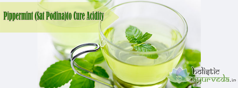 Pippermint to Cure Acidity