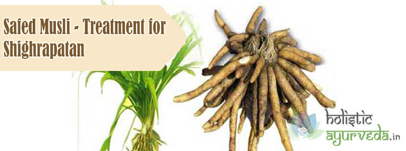 Safed Musli Treatment for Shighrapatan