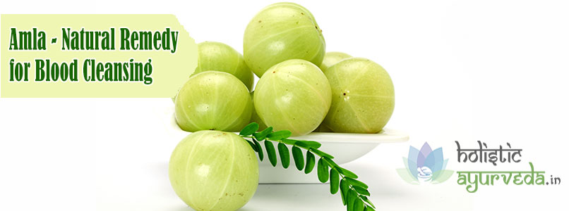 Amla Natural Remedy for Blood Cleansing