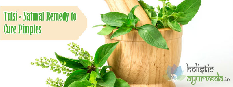 Tulsi Natural Remedy to Cure Pimples