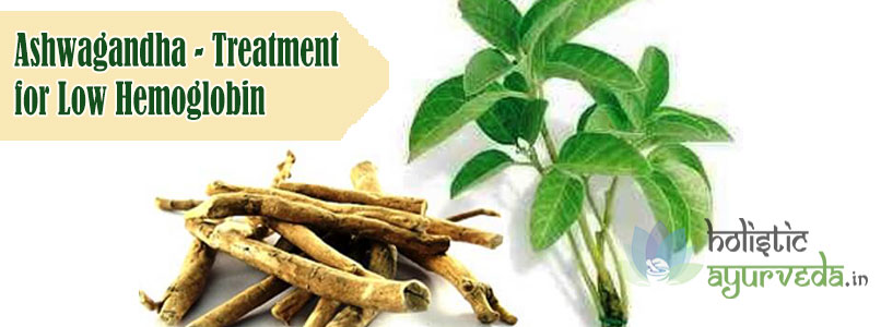 Ashwagandha Treatment for Low Hemoglobin