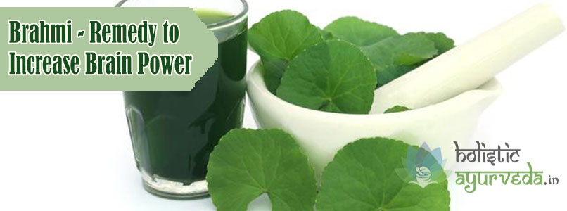 Brahmi Remedy to Increase Brain Power